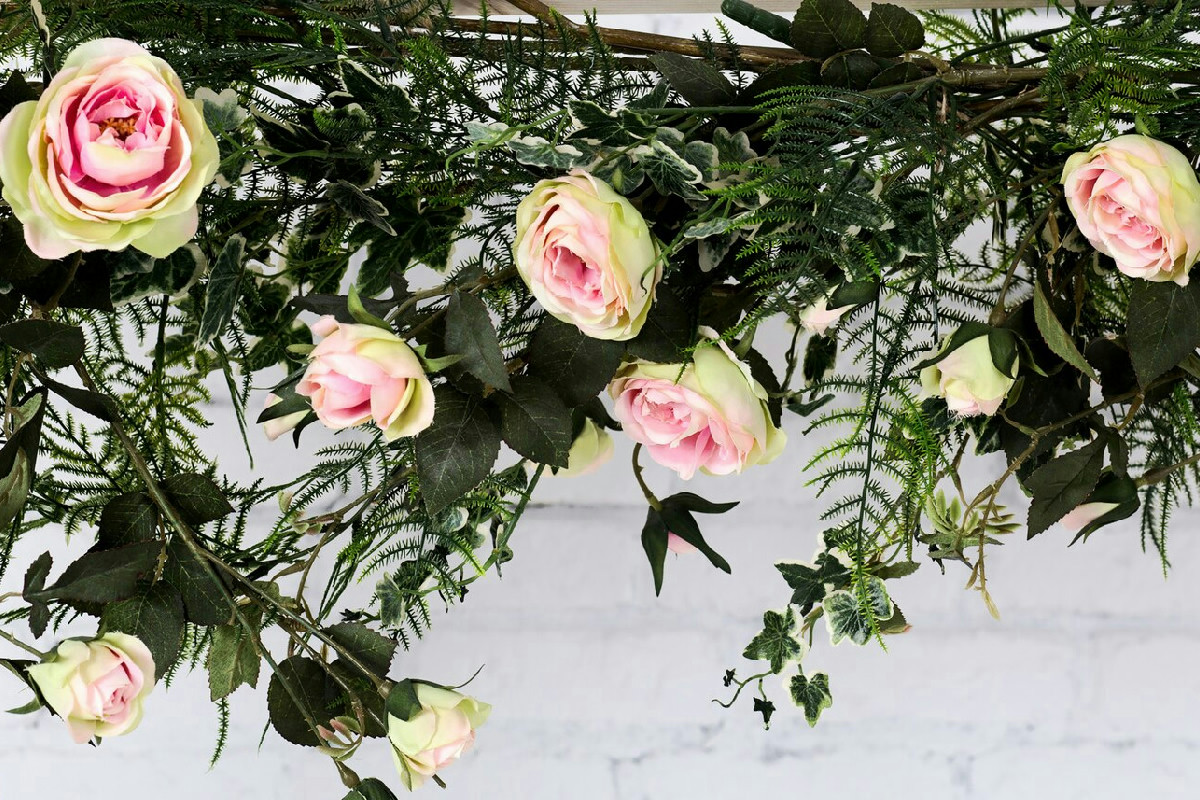 Finalmente rose rampicanti che colorano il tuo giardino per mesi, anche con il freddo polare